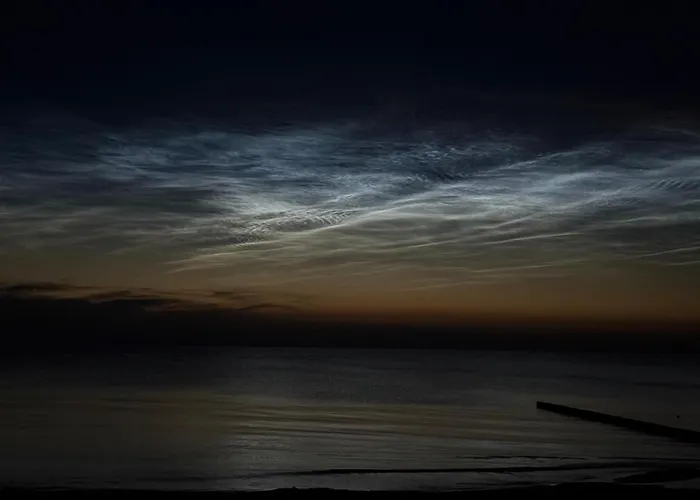 Baltic Whisper Hevenia *